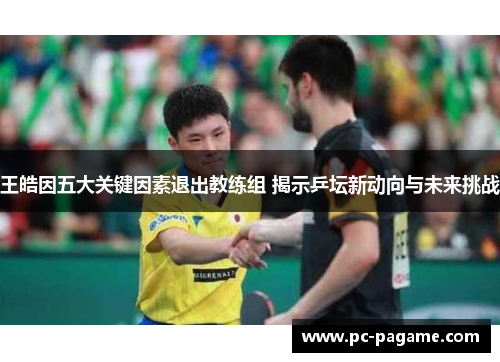 王皓因五大关键因素退出教练组 揭示乒坛新动向与未来挑战